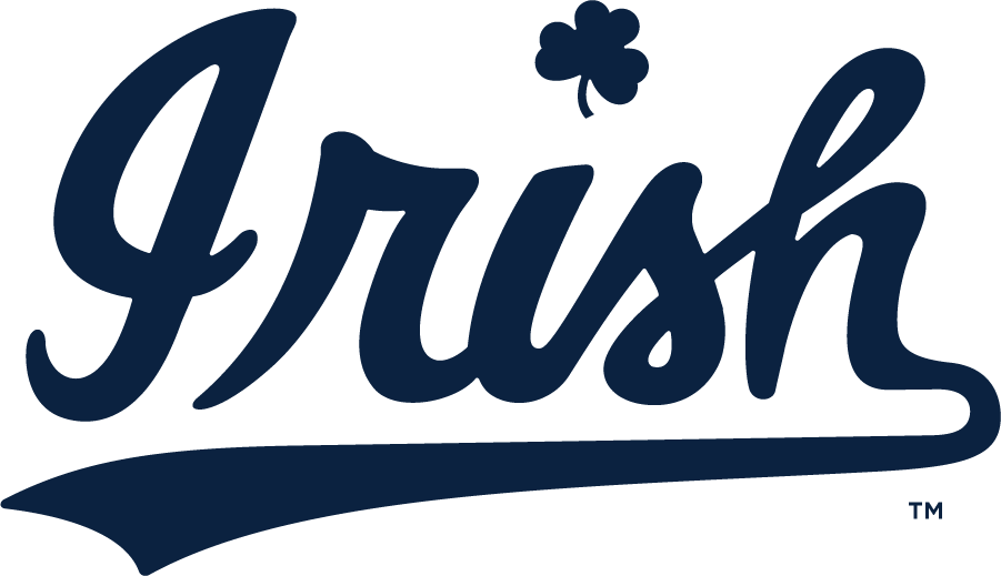 Notre Dame Fighting Irish 2015-Pres Wordmark Logo v2 iron on transfers for clothing